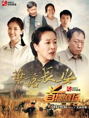 快手百万粉丝潘诗诗 – 丝袜女神[26V/375MB]